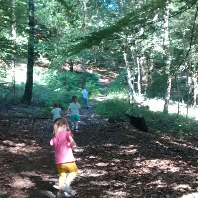 Im Wald.... Im Wald....