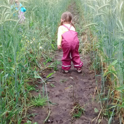 Im Feld..... Im Feld.....